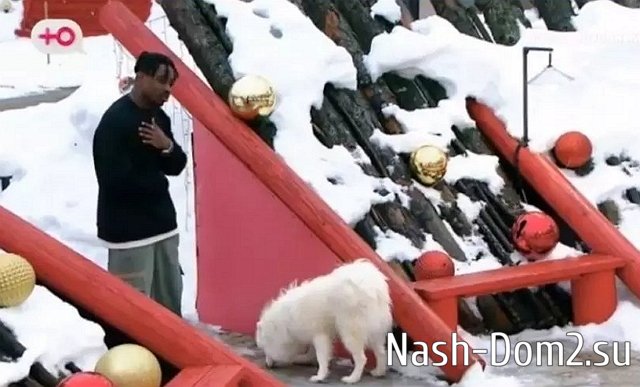 ������� ������ �� ����� ���������, ������� ���� ������?