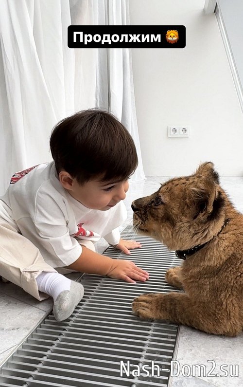 Арай Чобанян: Сегодня вместо меня Давид Арай Чобанян: Сегодня вместо меня Давид