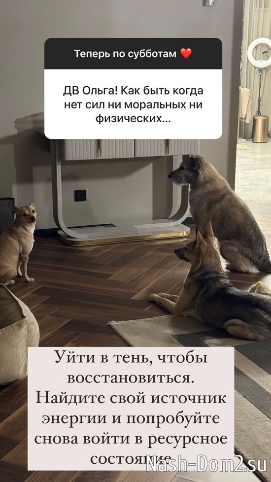 Ольга Орлова: Уйдите в тень, чтобы восстановиться... Ольга Орлова: Уйдите в тень, чтобы восстановиться...