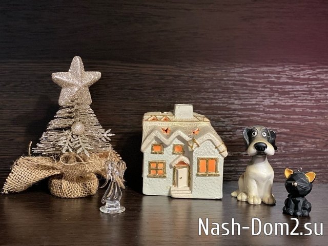 ������� �����������: ��������� ����� ��� � �������� ���������