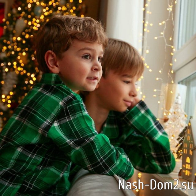 ���� ����� ���������� ����-2 (9.01.2024)