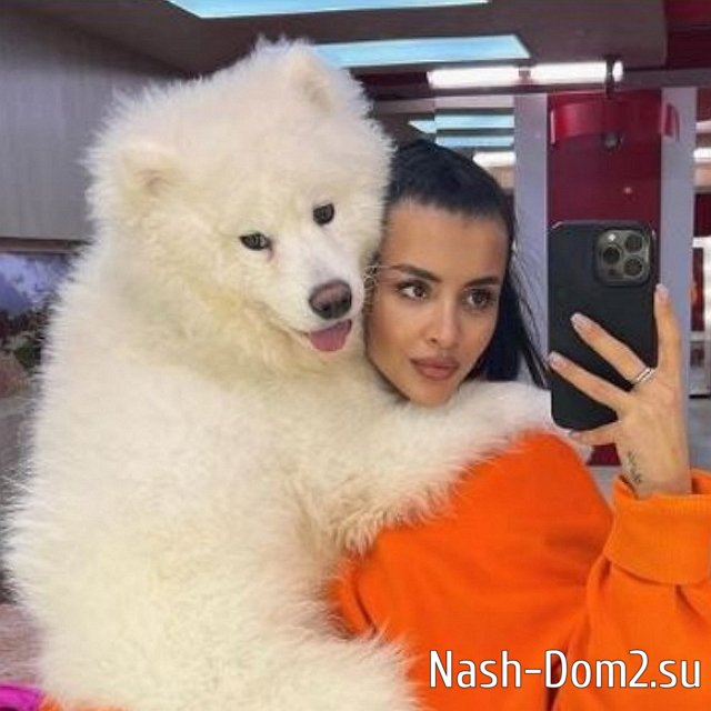 Кристине Бухынбалтэ вернули больного пса Кристине Бухынбалтэ вернули больного пса