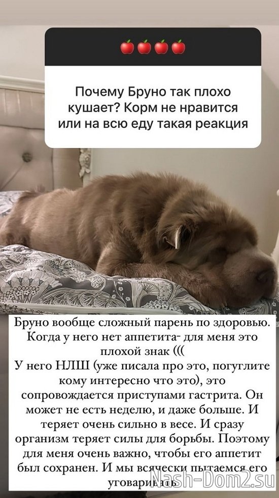 ����� ������: ������� - ���������...