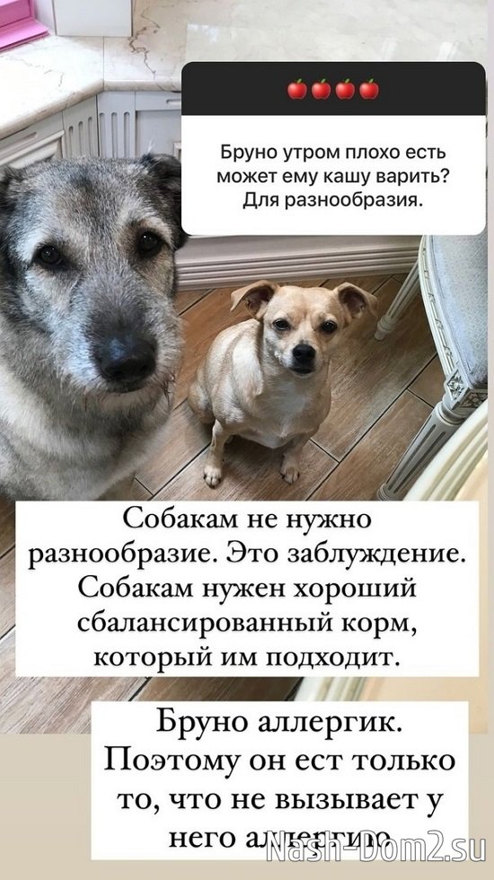 ����� ������: ������� - ���������...