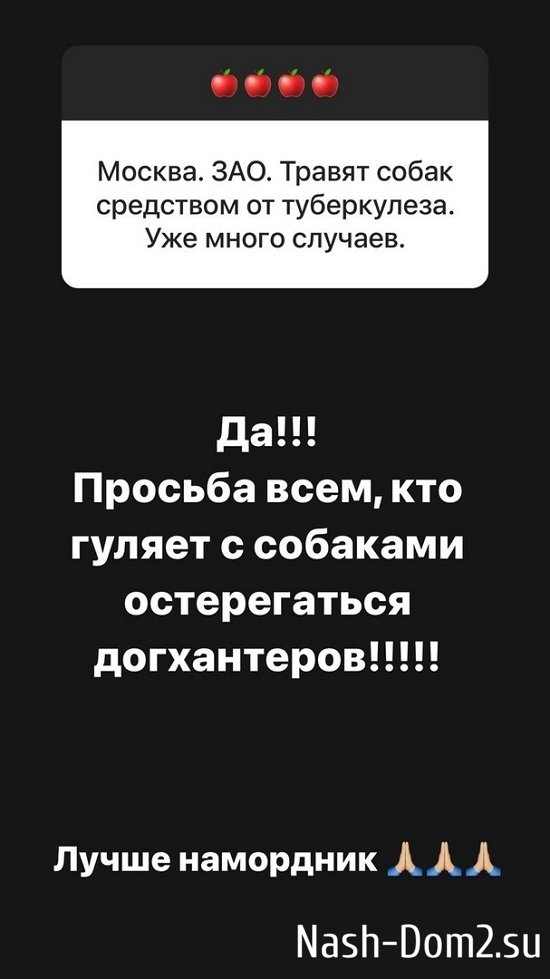 ����� ������: ������� - ���������...