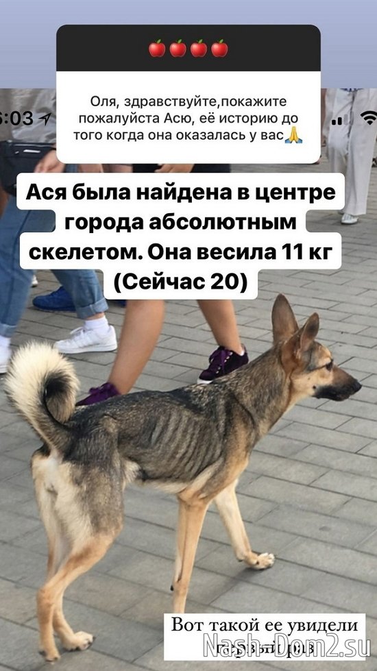 ����� ������: ������� - ���������...