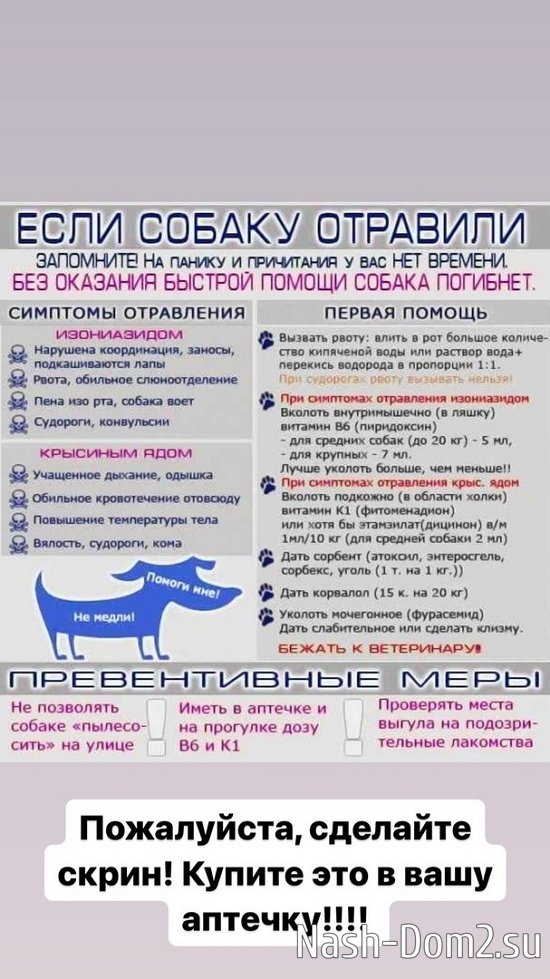 ����� ������: ������� - ���������...