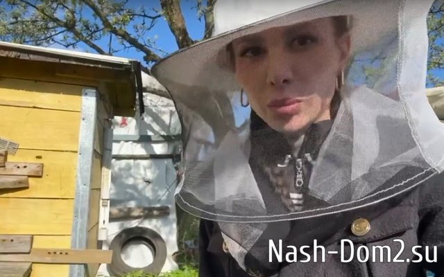 ���������� ��������� ������������