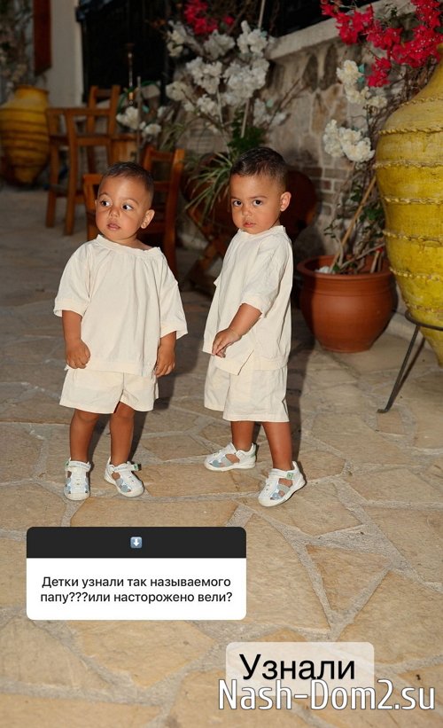 ���� �����������: ���� ���� �������, �������