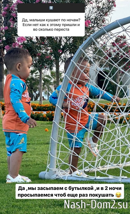 ���� �����������: ���� ���� �������, �������