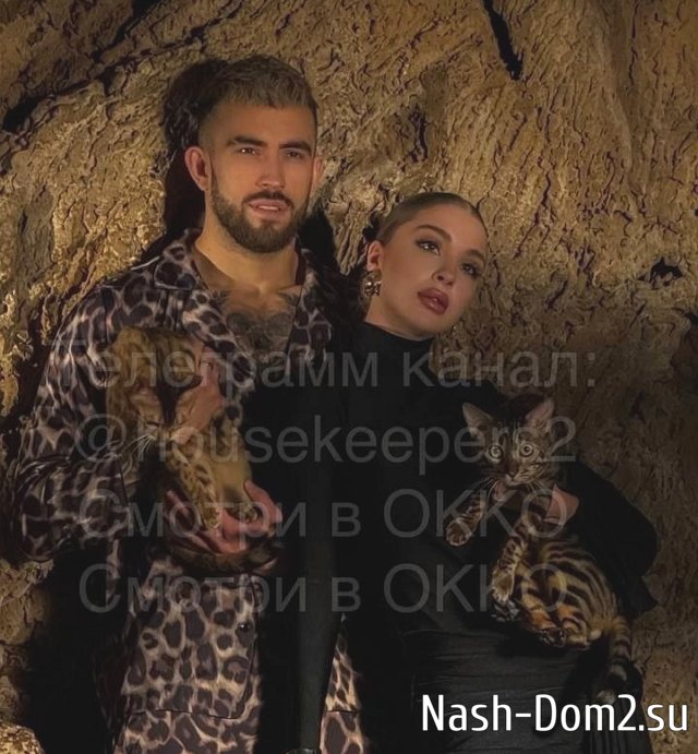 ������� ����-2 �� ������� ���������� ����������� � ����������