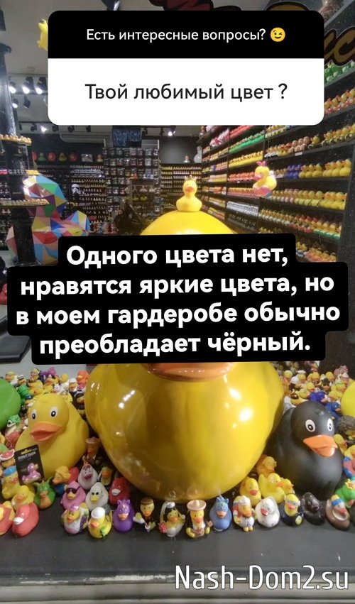 ������ ��������: ����� ���������� � ����