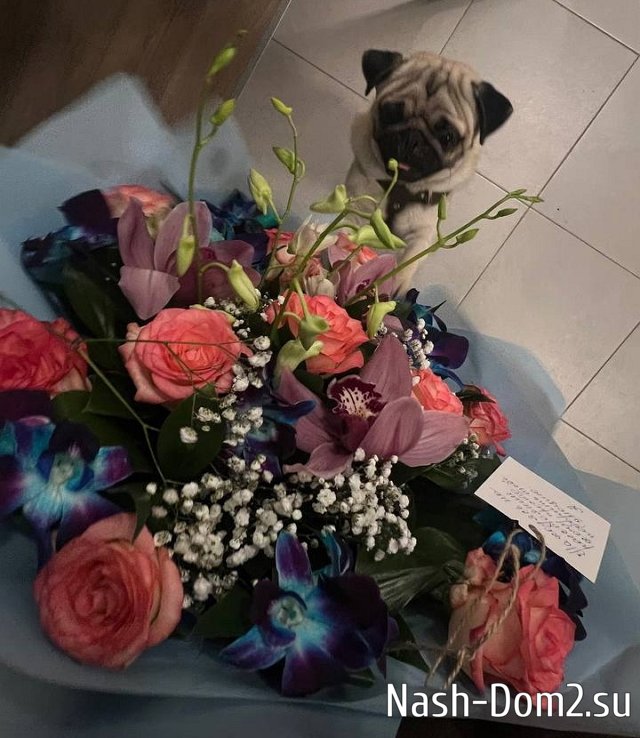 ���� ����������: �� ������������