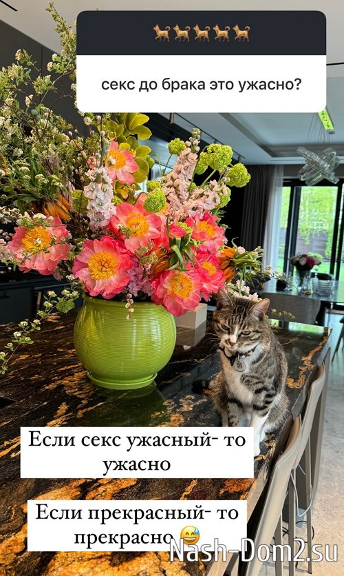 ����� ������: �� ���� �� � �������� �� � ���������