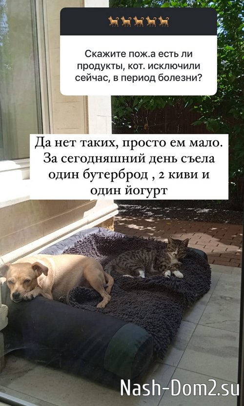 ����� ������: �� ���� �� � �������� �� � ���������