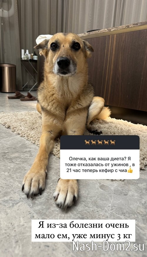 ����� ������: �� ���� �� � �������� �� � ���������