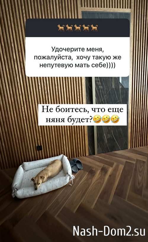 ����� ������: �� ���� �� � �������� �� � ���������