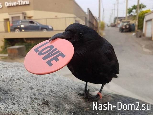 ������ � ��������� ��������� �������� (25.02.2025)