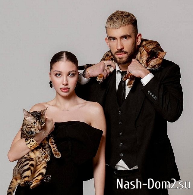 ��������� ���������� �������� ���� ����