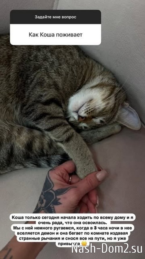 ����� ����������: ���� � ��� � ��� �� ���������...