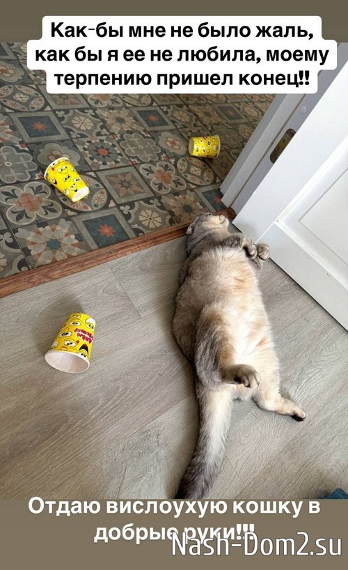 Александра Черно: У меня начинается дёргаться глаз Александра Черно: У меня начинается дёргаться глаз