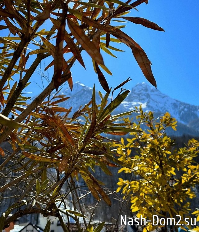 ����� ���������: ������ � �������