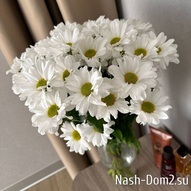 Сергей Хорошев решил остепениться? Сергей Хорошев решил остепениться?