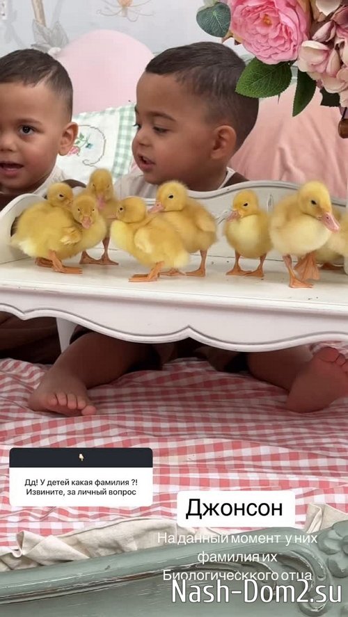 Юлия Ефременкова: У детей фамилия их отца Юлия Ефременкова: У детей фамилия их отца