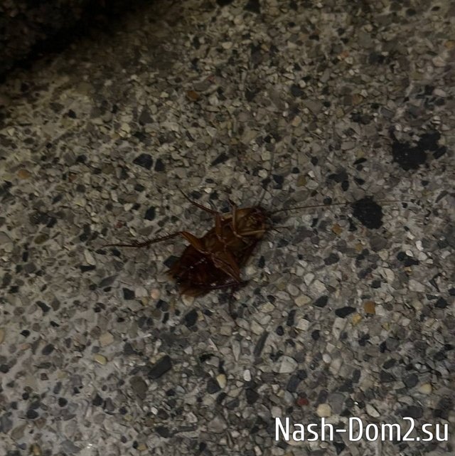 Алёна Опенченко: Я сейчас пойду кинусь с моста Алёна Опенченко: Я сейчас пойду кинусь с моста