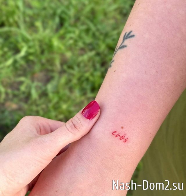 Елена Шлома: Напоминание о проекте Елена Шлома: Напоминание о проекте