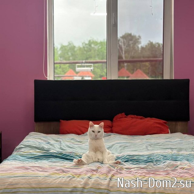 ���� ��������� ����������, ��� ������ ������ �����