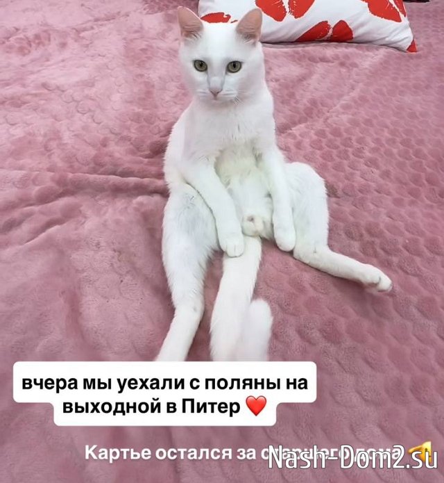 Лиза Субботина раскрыла причину поездки в Питер Лиза Субботина раскрыла причину поездки в Питер