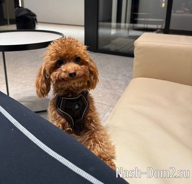 Елена Хромина сбежала от парня-агрессора Елена Хромина сбежала от парня-агрессора