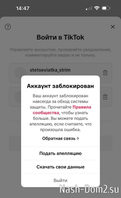 Анастасия Стецевят: Мне снесли аккаунт в ТикТоке Анастасия Стецевят: Мне снесли аккаунт в ТикТоке