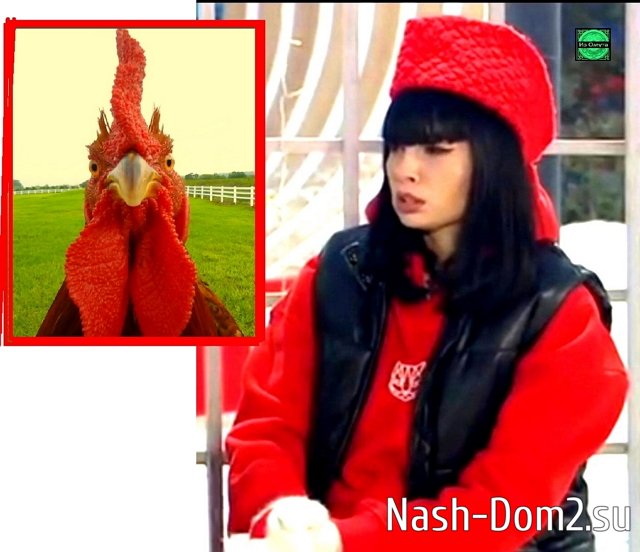 Приколы Дом-2 (22.10.2025) Приколы Дом-2 (22.10.2025)