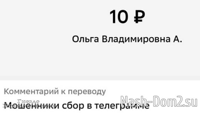 Иосиф Оганесян: Если я и буду делать сбор, то только официально Иосиф Оганесян: Если я и буду делать сбор, то только официально