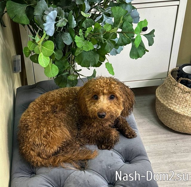 Игорь Григорьев: Преступник был наказан Игорь Григорьев: Преступник был наказан