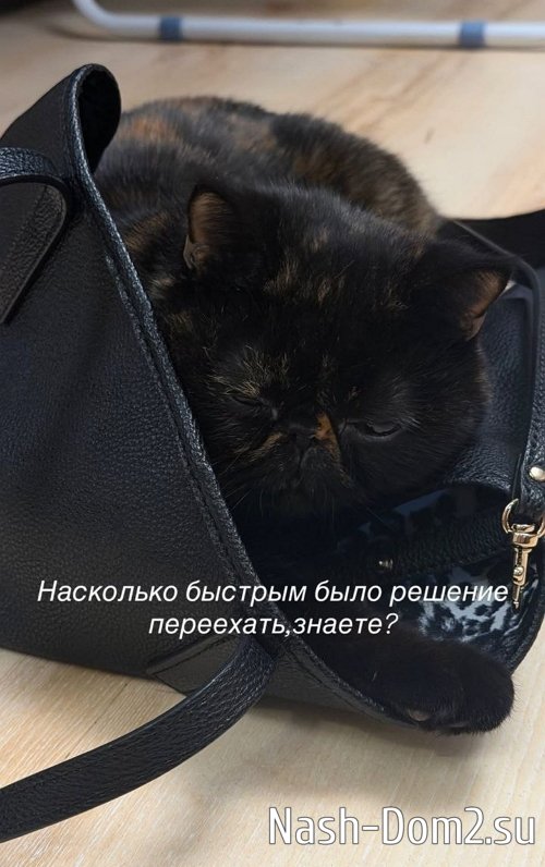 Алёна Опенченко: До меня доходит, что я сделала Алёна Опенченко: До меня доходит, что я сделала