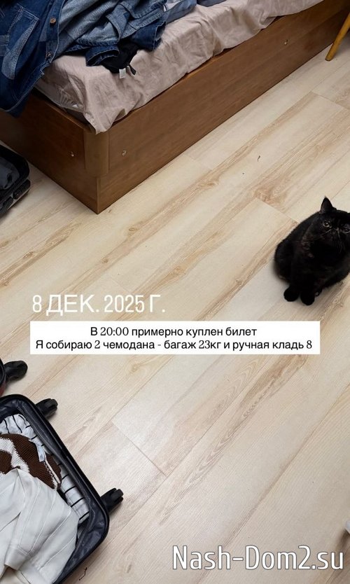 Алёна Опенченко: До меня доходит, что я сделала Алёна Опенченко: До меня доходит, что я сделала