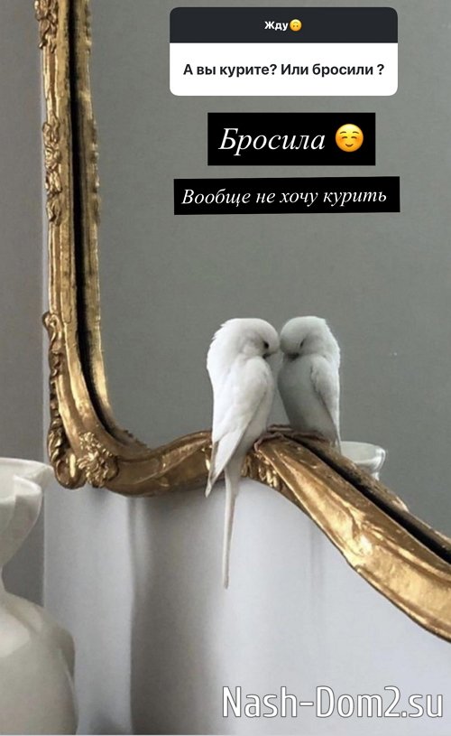 ������ ��������: �� ��������� ������� ����