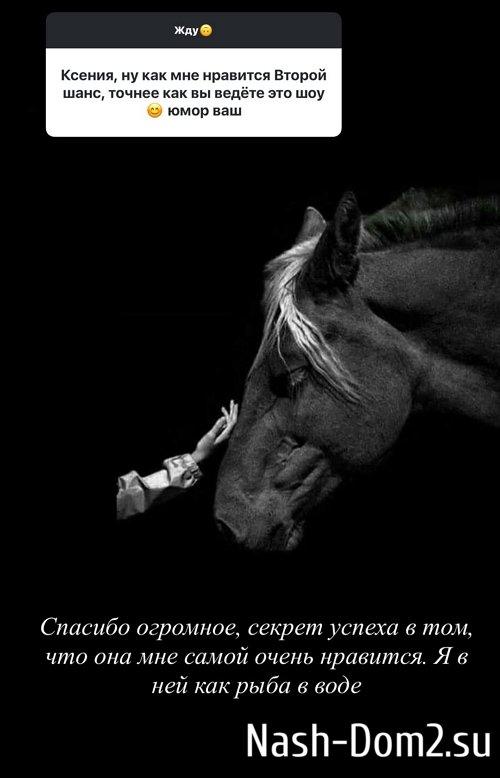 ������ ��������: �� ��������� ������� ����