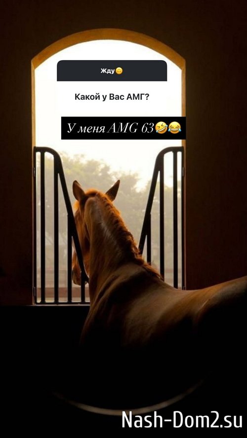 ������ ��������: �� ��������� ������� ����