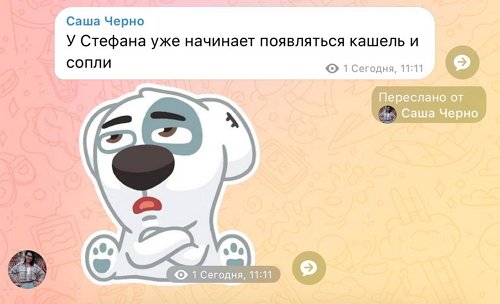 ���������� �����: �� �� �������������, ��� �� ���� �����