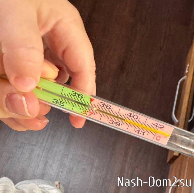 �������� ���������: ����������� ��� 40