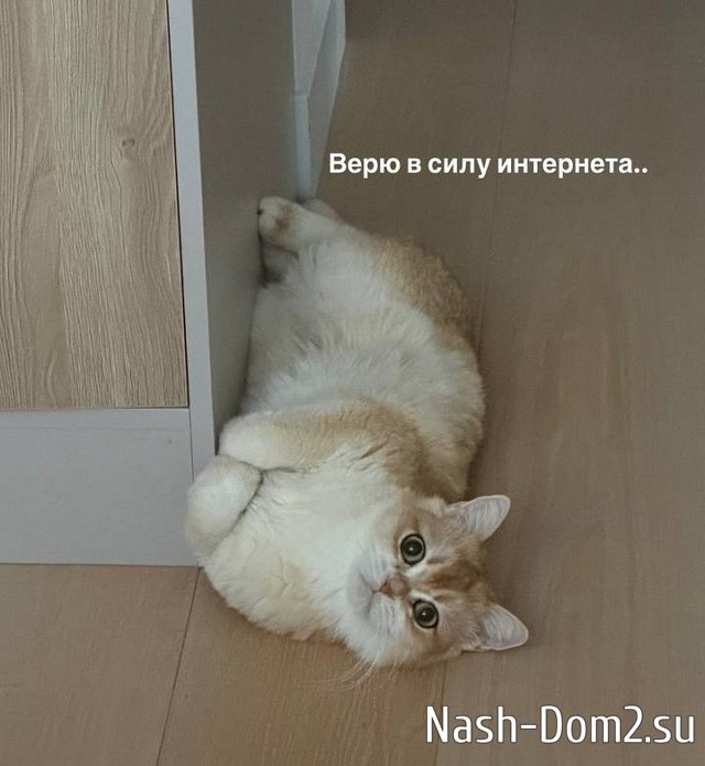 ������ ����������� ���� ������� ����