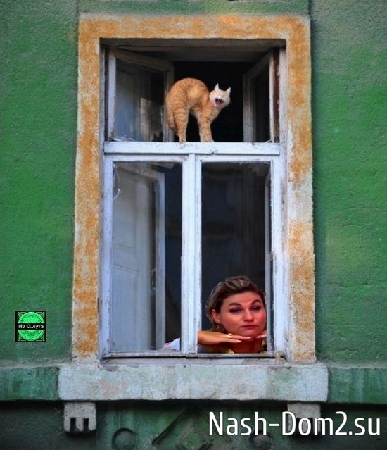 ������ � ��������� ��������� �������� (31.12.2025)