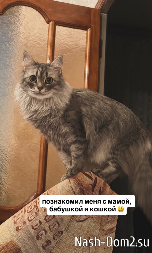 �������� �����: ����� ����� � ���� �������