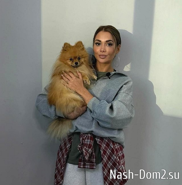 ������ ������� ������� ����� ���������� ����������