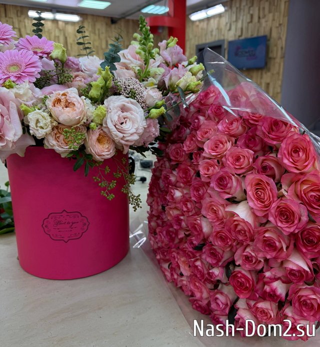 ����� ��������: ������ �� ���� ������ ������