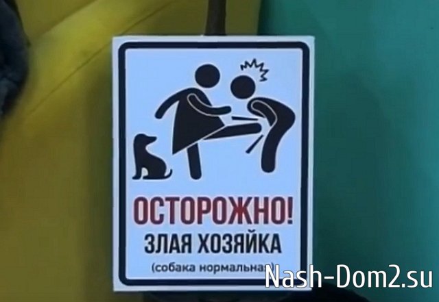 ���� ���������� ����� ���������� ������ �����������